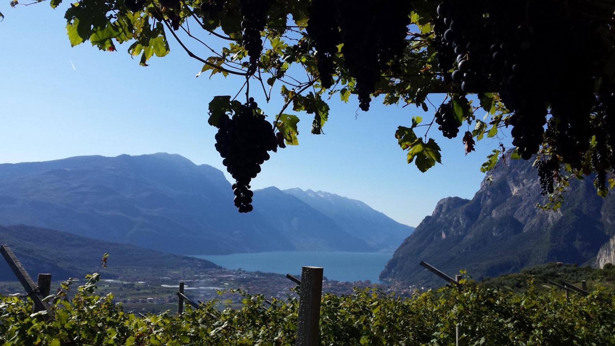 Villa Agritur Calvola Tenno Esterno foto